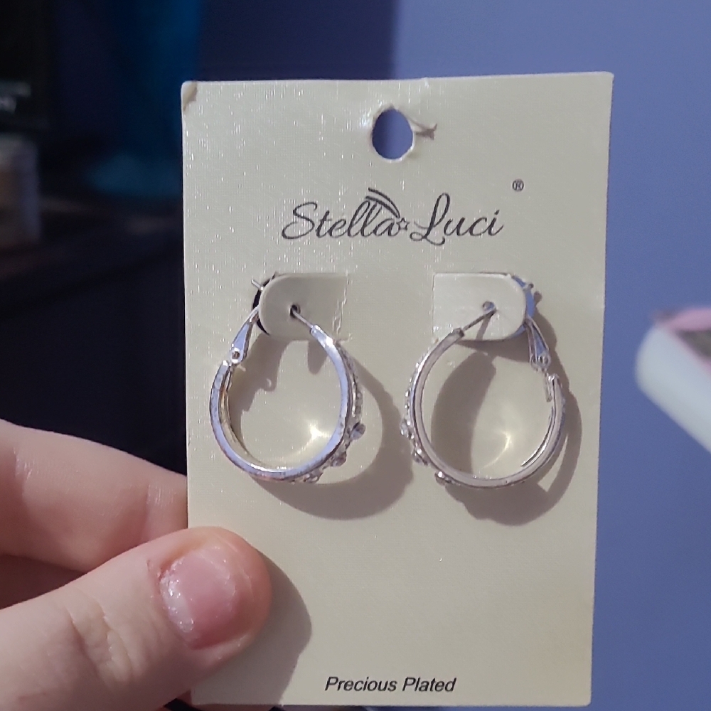 Stella Luce Shimmering Silver Earrings